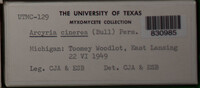 Image Associated With the Occurence